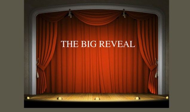 THE BIG REVEAL